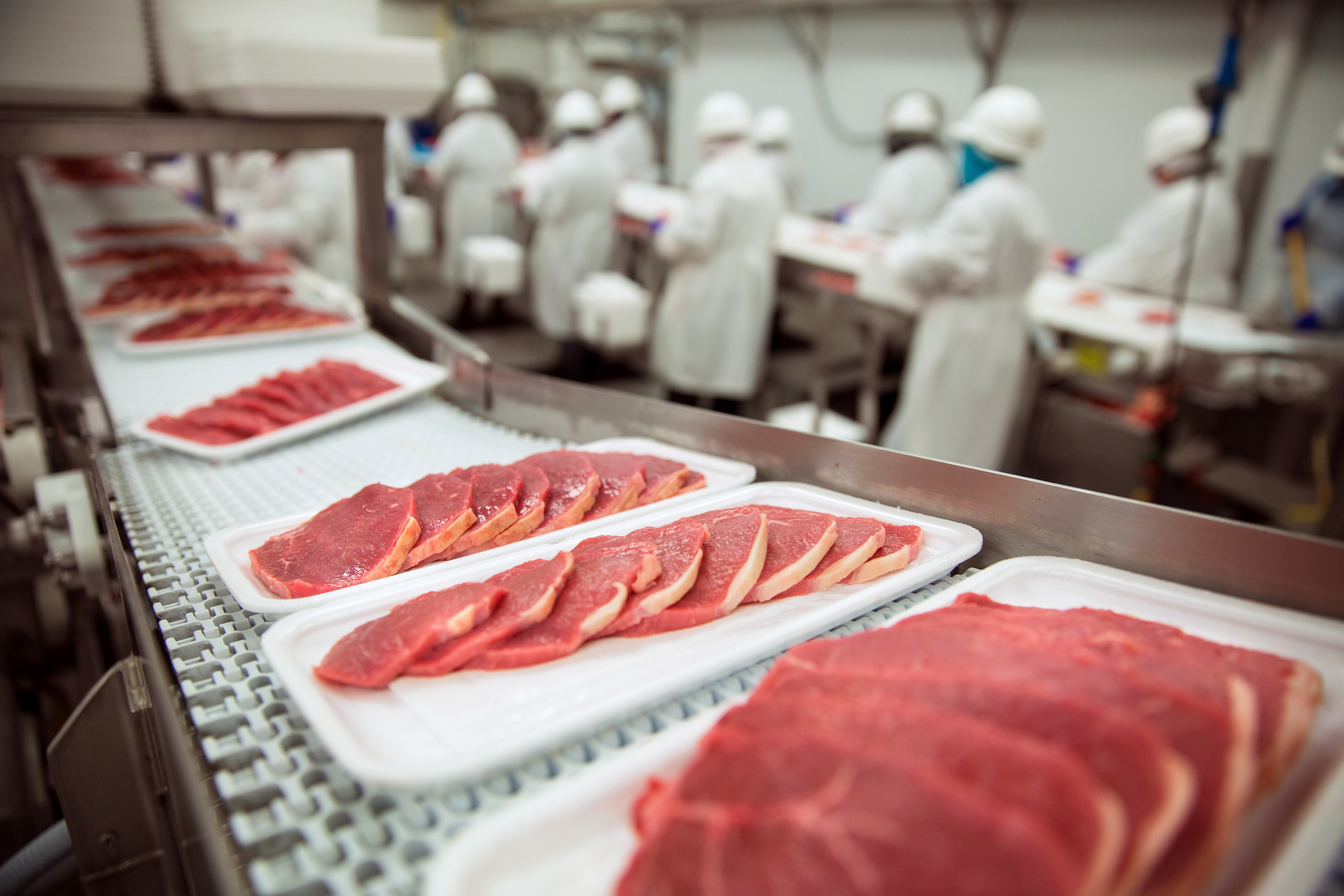 Bacon slices on a conveyer belt with factory workers in the background