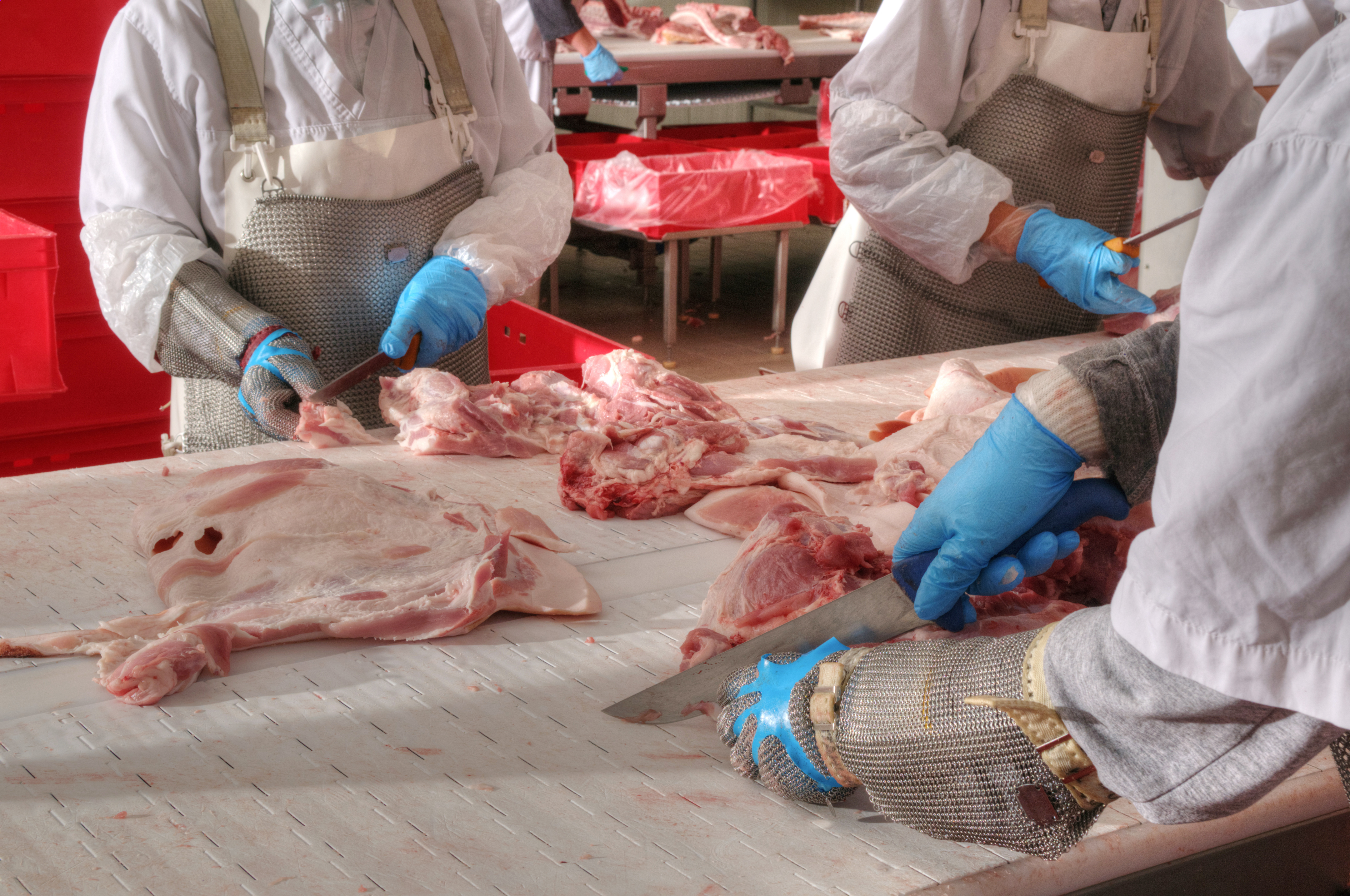 meat plant workers cut meat in an elbow-to-elbow system