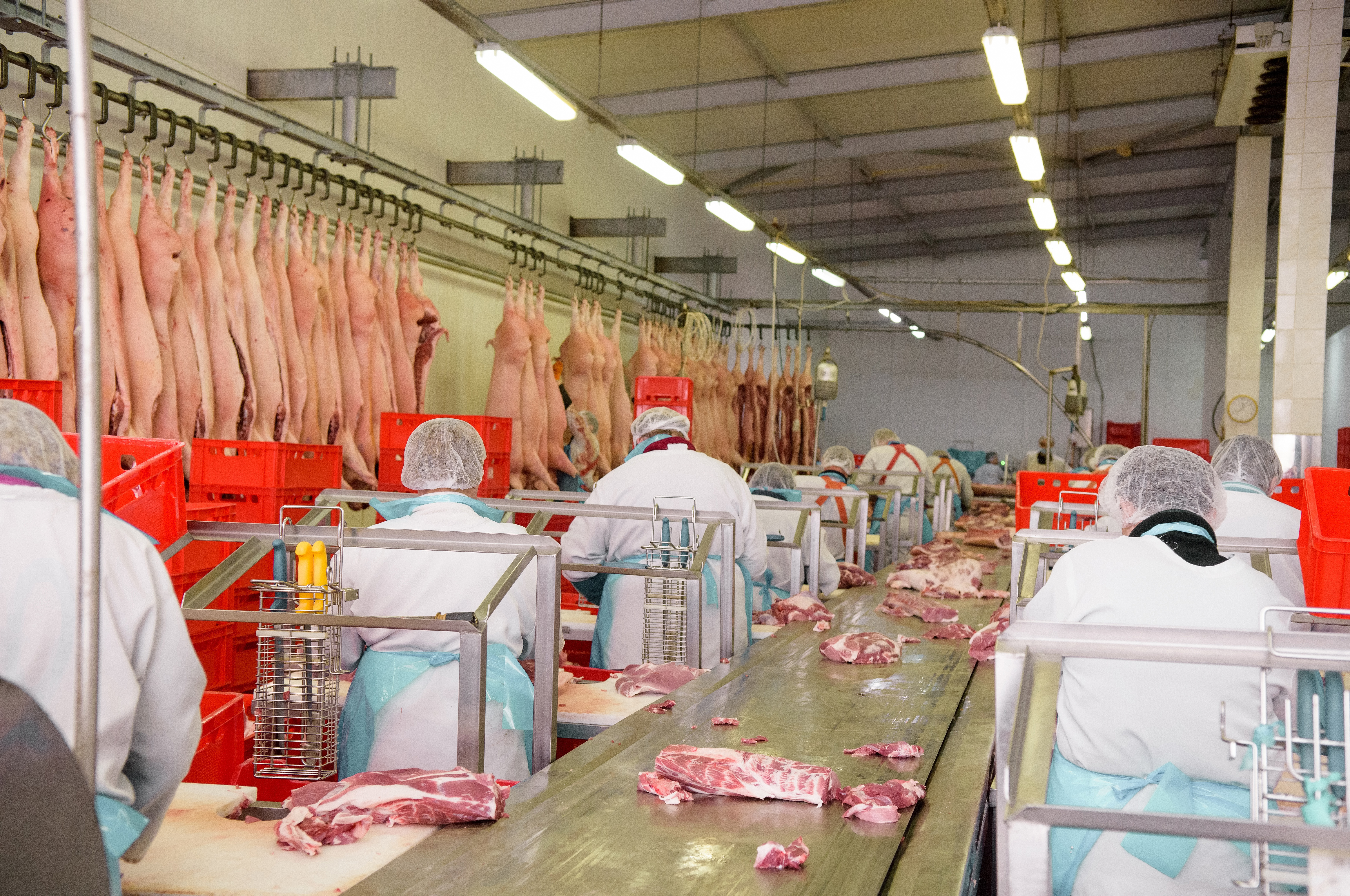 Meat plant employees working at a conveyer belt