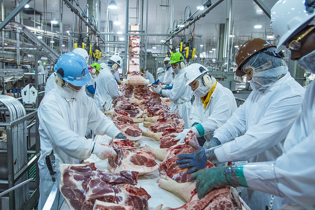 Workers in a meat plant standing near a conveyer belt