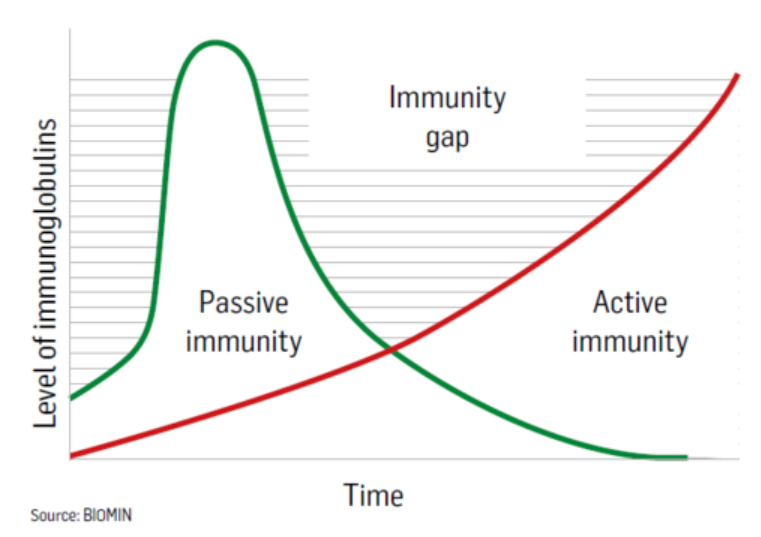 Figure 2 - Level of immunoglobulins in blood