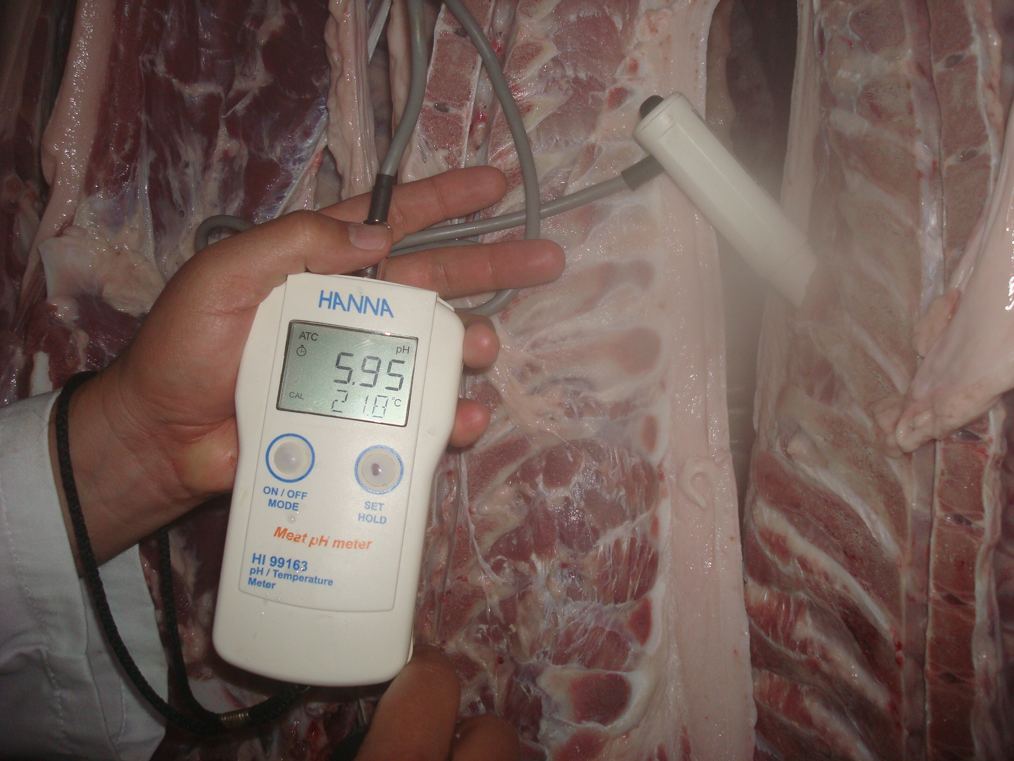 Rapid pH decline can result in PSE (pale soft exudative) meat