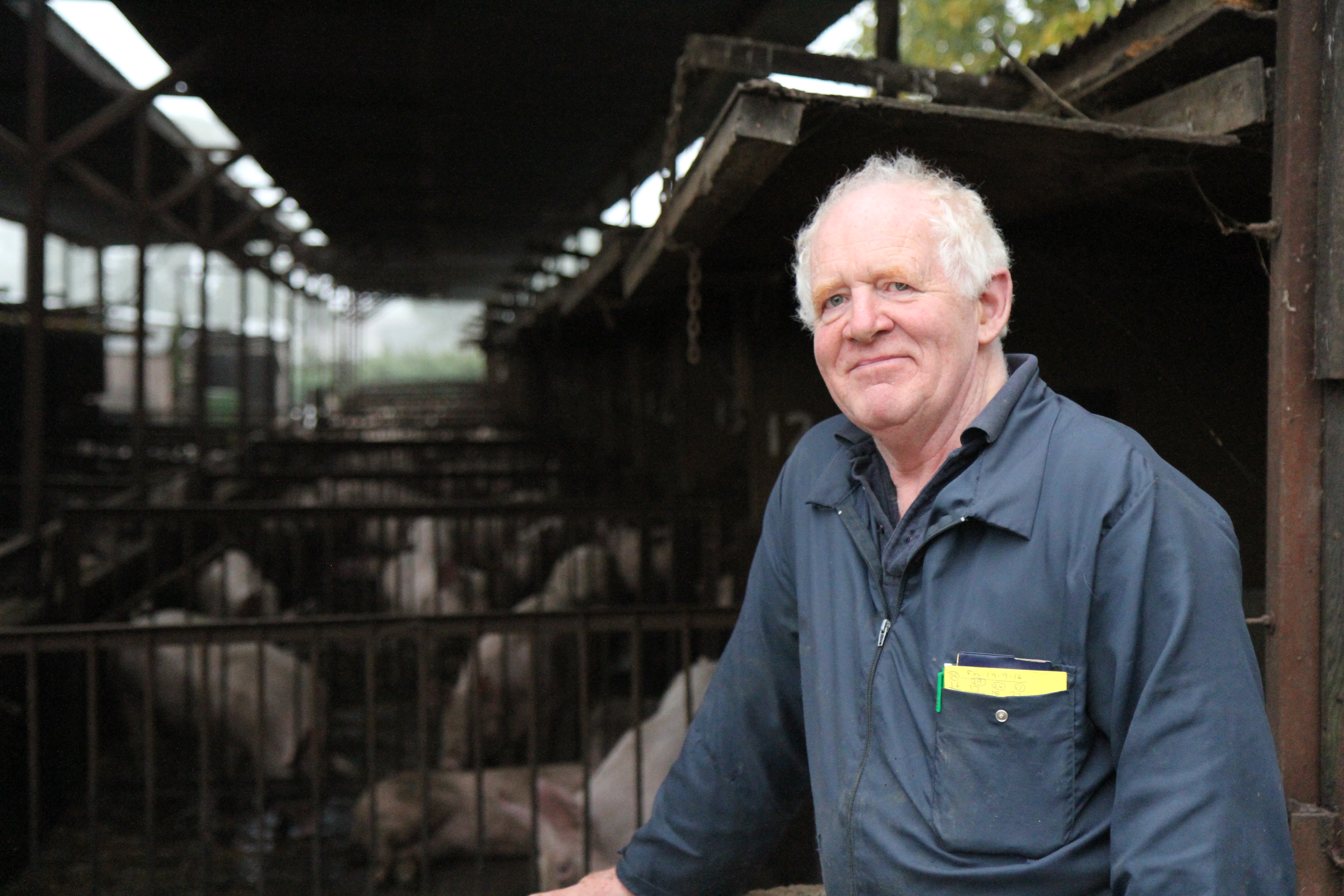 Peter Woodhall runs a 240-sow unit in West Shropshire and says coccidiosis prevention has significantly boosted the performance of his herd