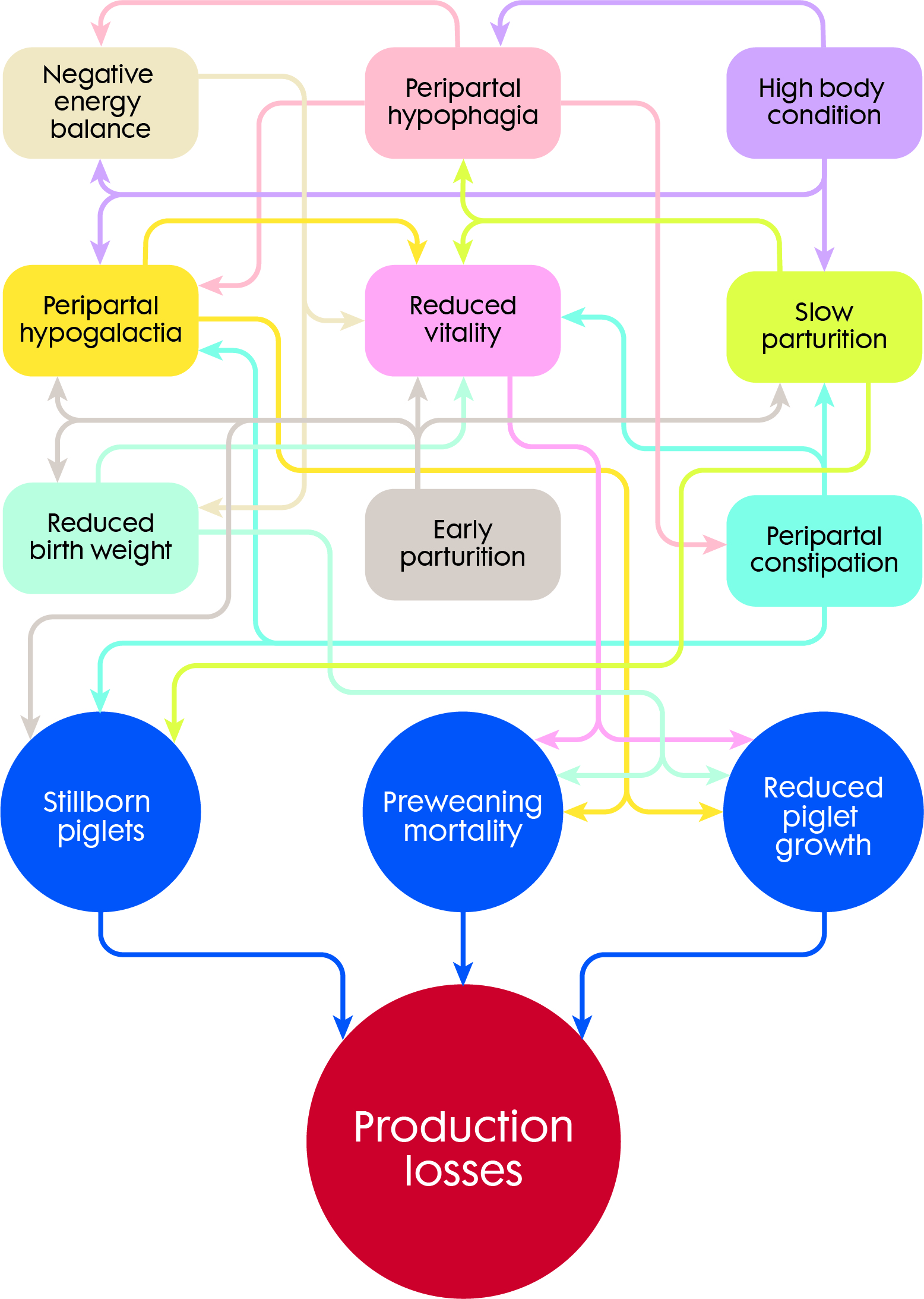 Sow Peripartal Syndrome