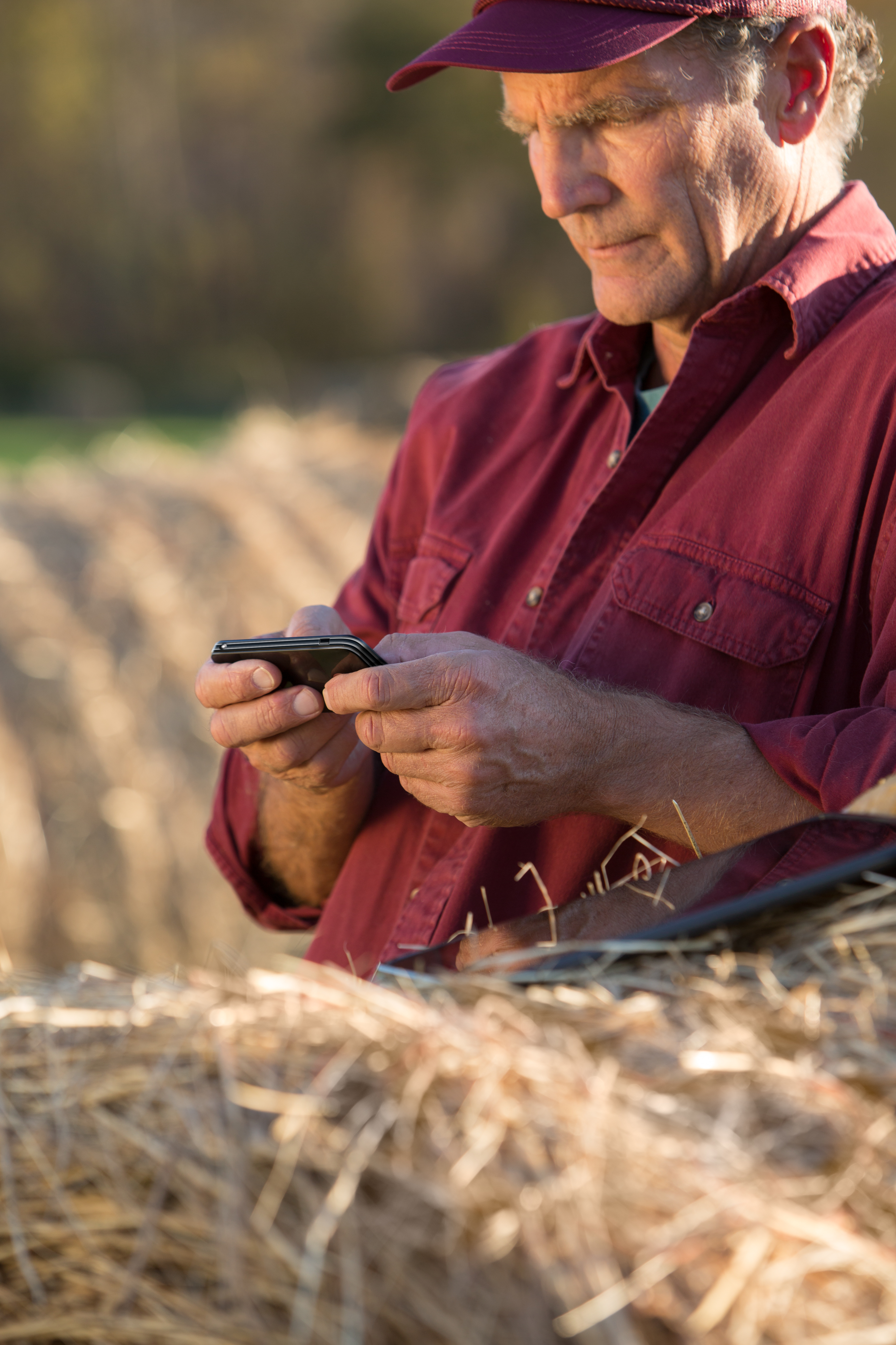 farmer looking at mobile phone on farm