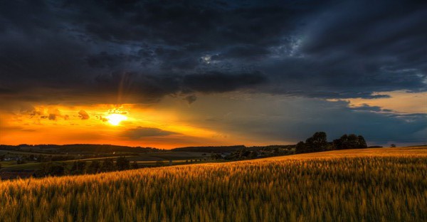 Dim-to-Calm Light Mimics sunrise and sunset