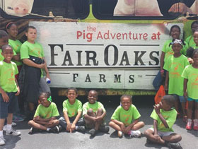 the pig site, pork production, fair oaks farms, the pig adventure,carla wright