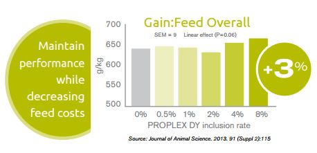 Proplex DY Research