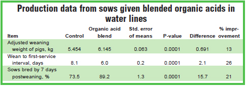 sow reproduction blended organic acid water Novus