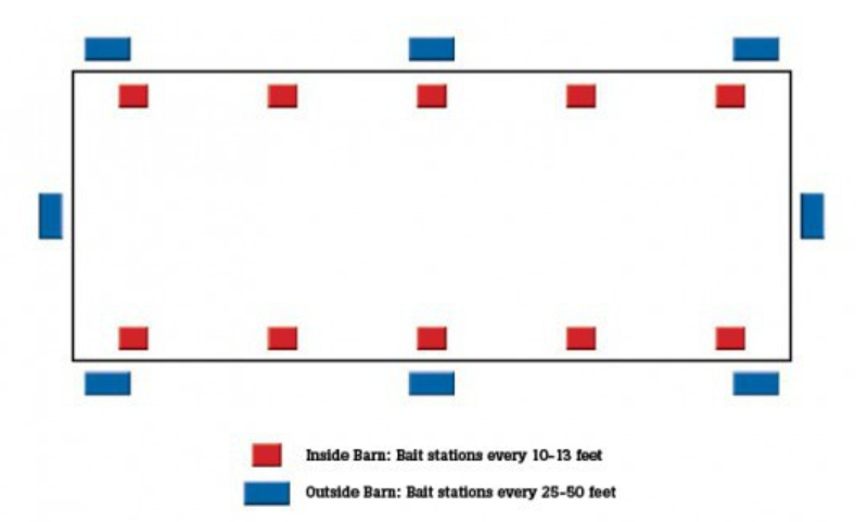 How Do Rodent Bait Stations Work?