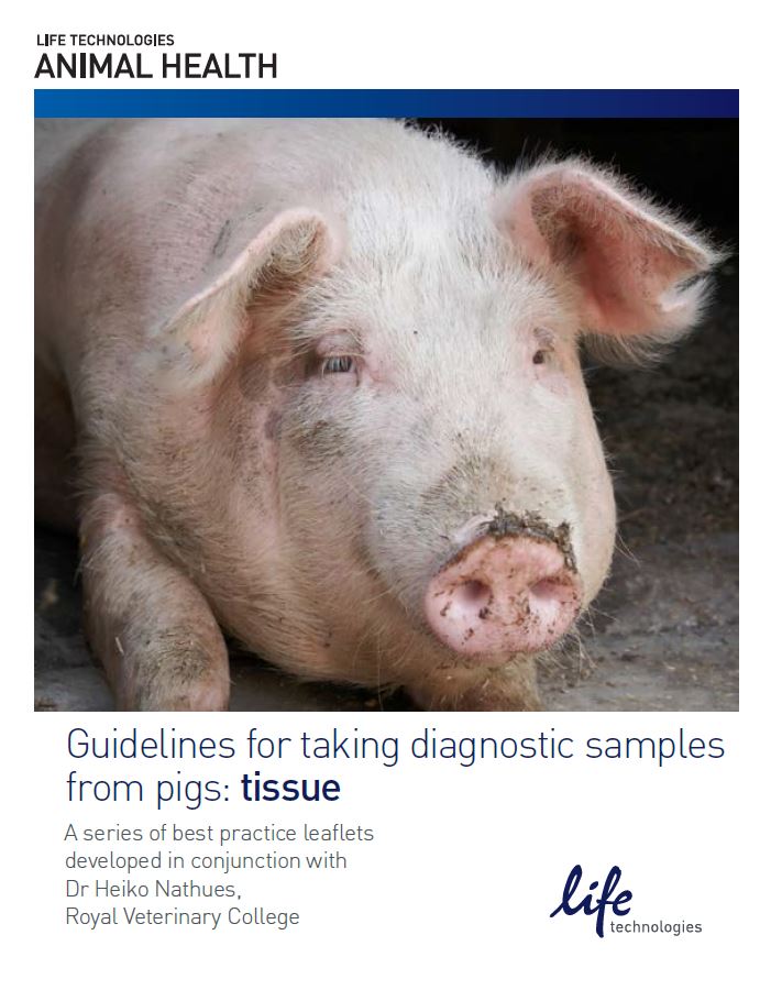Guide for Tissue Sampling in Pigs