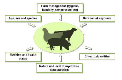 Biomin - Feed additives, premixes and services for healthy and profitable farm animals