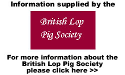 British Lop Pig Society