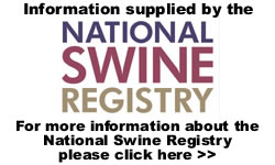 National Swine Registry
