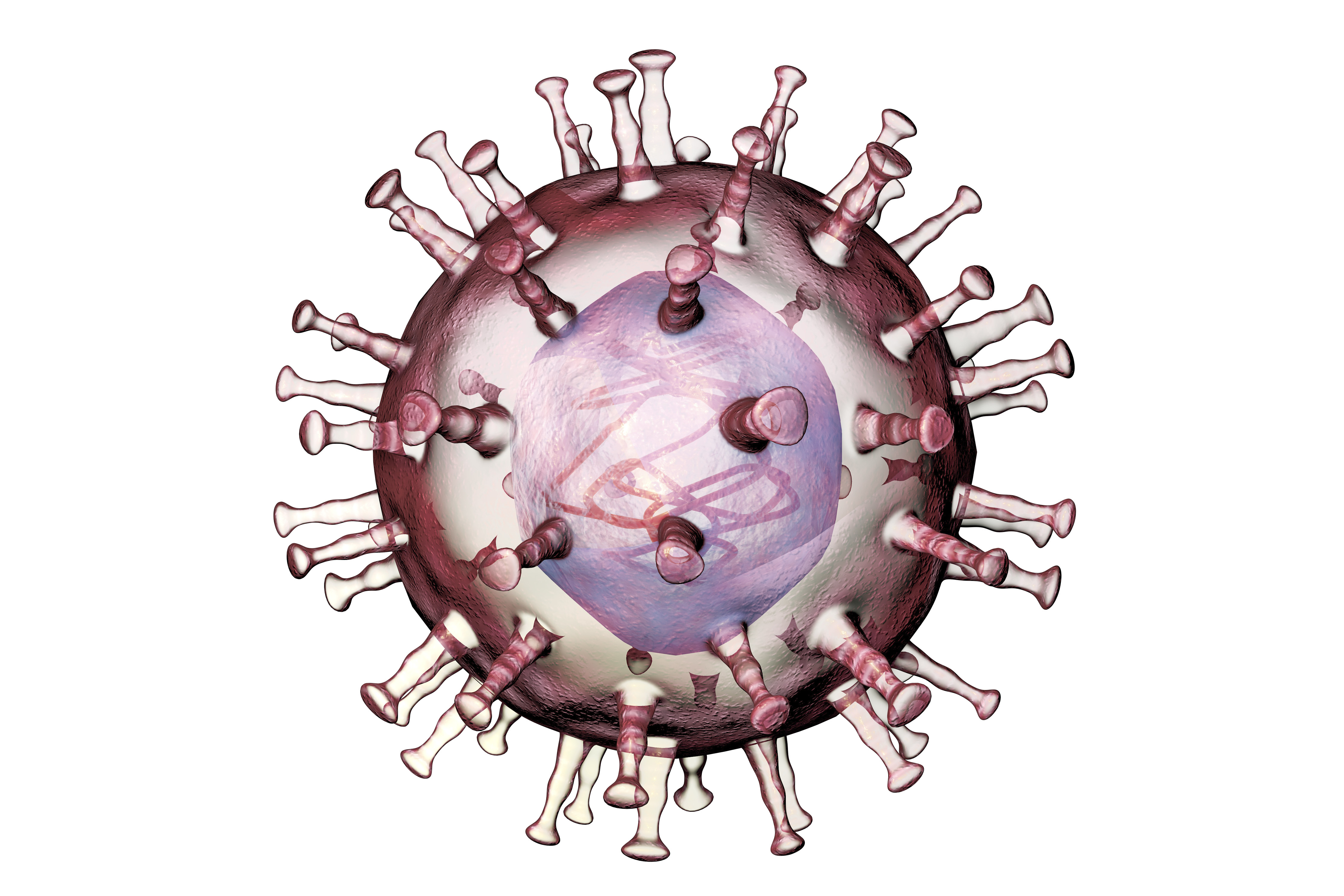 USDA researchers ascertain six distinctive lines of African swine fever