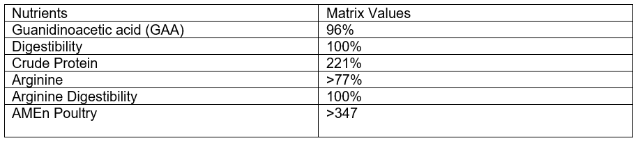 Table 2. GuanAMINO Matrix