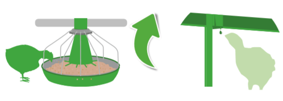 3. Water intake varies with feed intake.