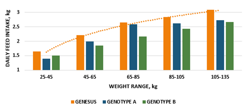 Figure 2. Comparative daily feed intake guidelines by genotype, mixed sex and corn soy diets
