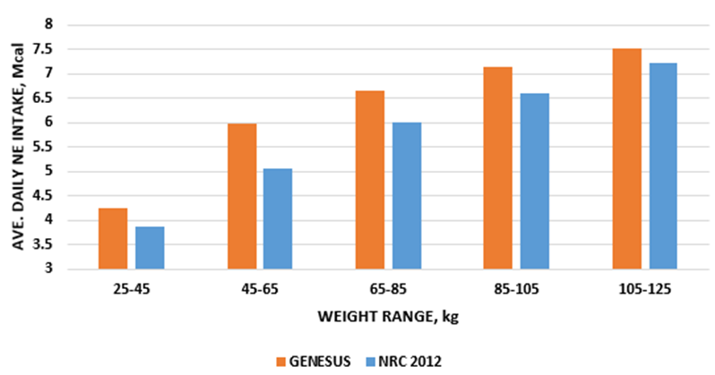 Figure 3. Daily energu intake (mixed sex) Genesus vs NRC, 2012