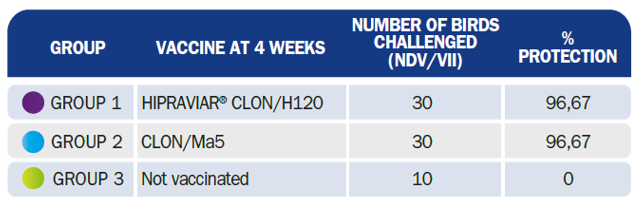 Table 2. Percentage (%) mortality of laying bods vaccinated or not vaccinated and challenged with NVD strain VII