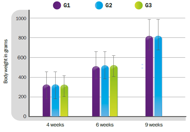 Figure 1. Body weight of the birds (g) at four weeks (before vaccination), six weeks (before the challenge) and nine weeks (five weeks post-vaccination and three weeks post-challenge)