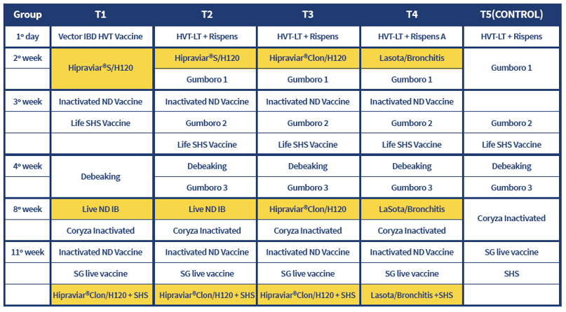 Table 4. Vaccination programme for the different groups