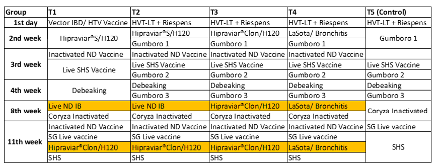 Table 1 – Vaccination programme for the different groups