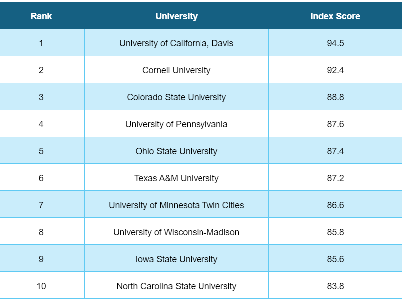 Top Univeristies