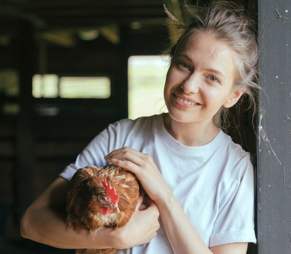 Owners of backyard chicken flocks can reduce the risk of Salmonella transmission by taking precautions when handling live birds, according to a Penn State Extension poultry educator and the Centers for Disease Control and Prevention.
