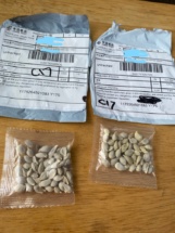 Unsolicited packages of seeds, many involving addresses from China, have been reported to agriculture officials by US citizens from coast to coast.