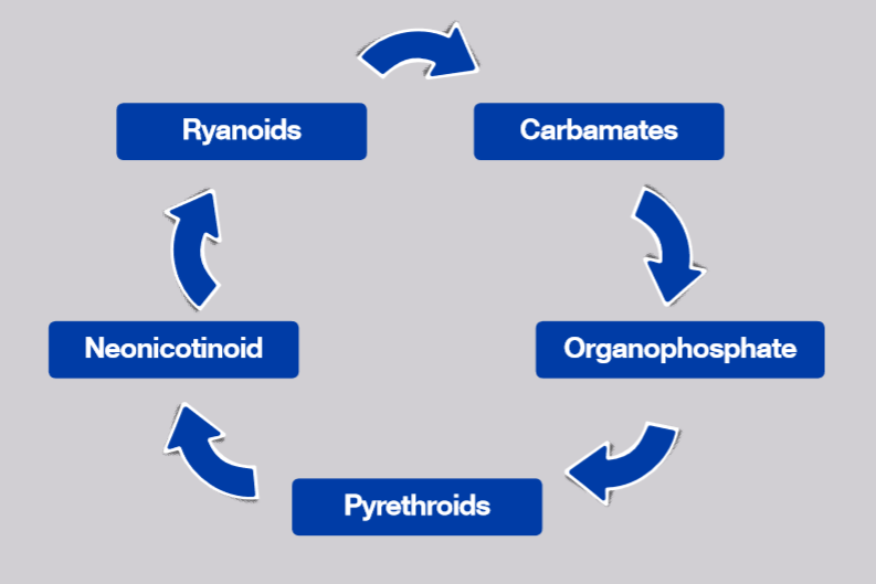 insecticide rotation plan