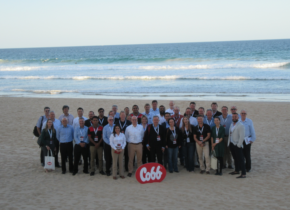 cobb attendees gathered on a beach in Sydney