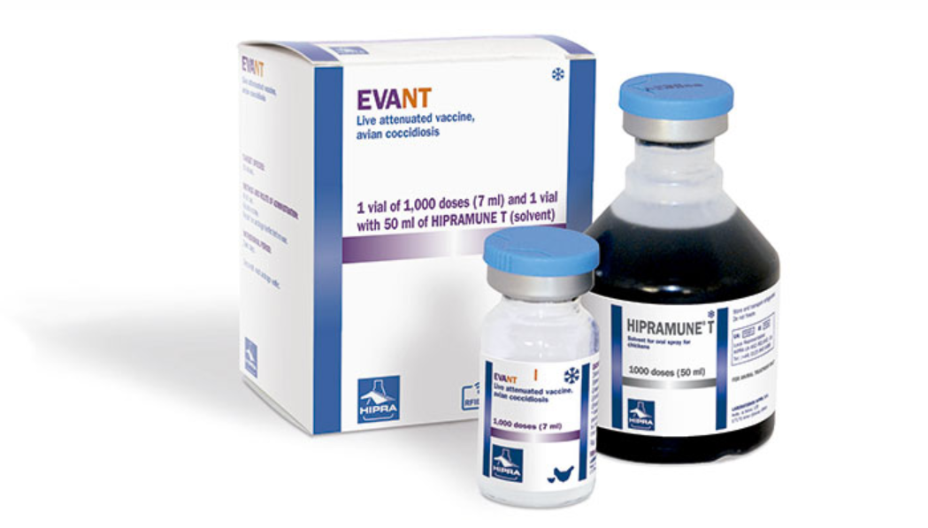 Bottle of Himpamune T solvent and vial of Evant live vaccine