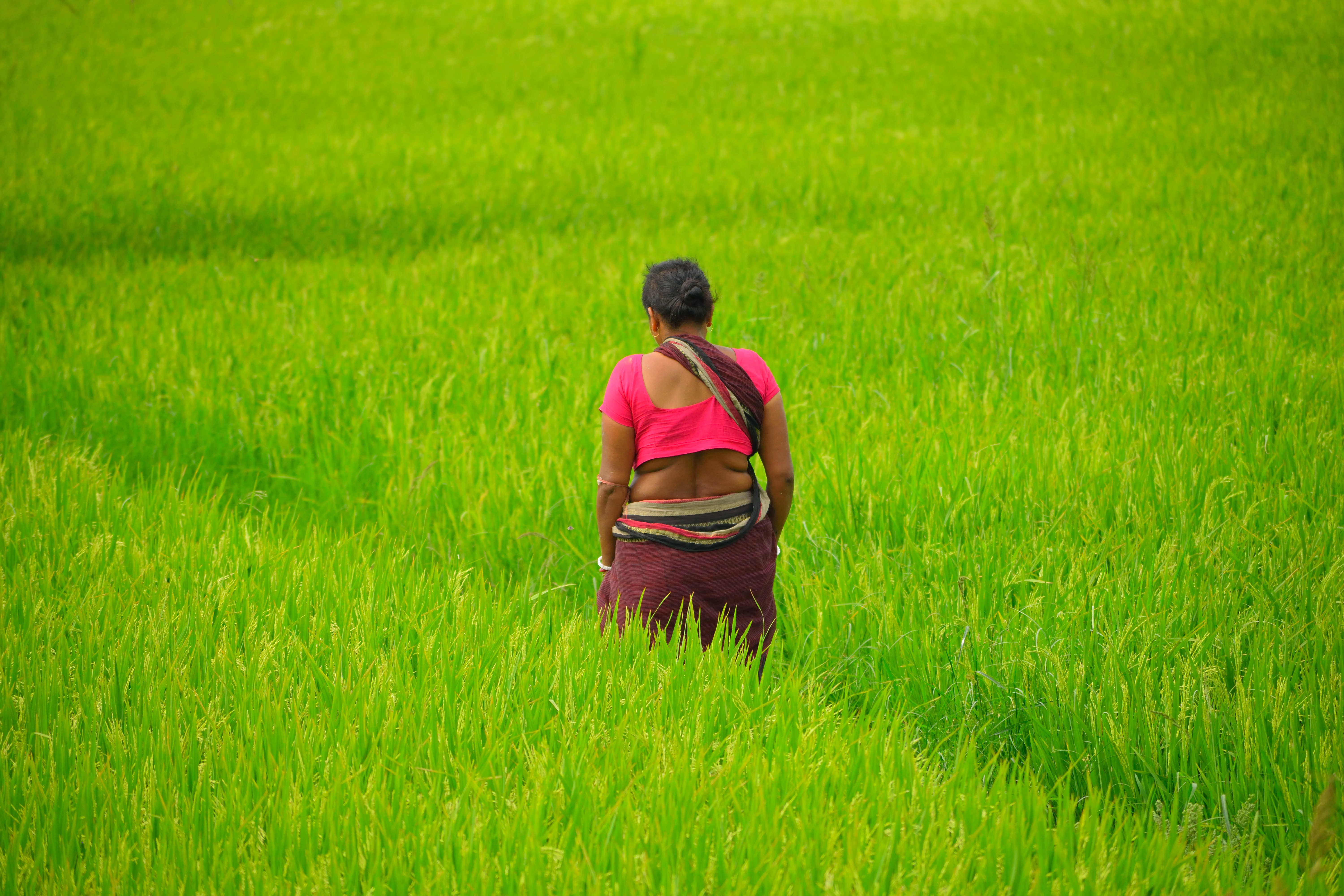a woman wearing a bright pink outfit walks through a field