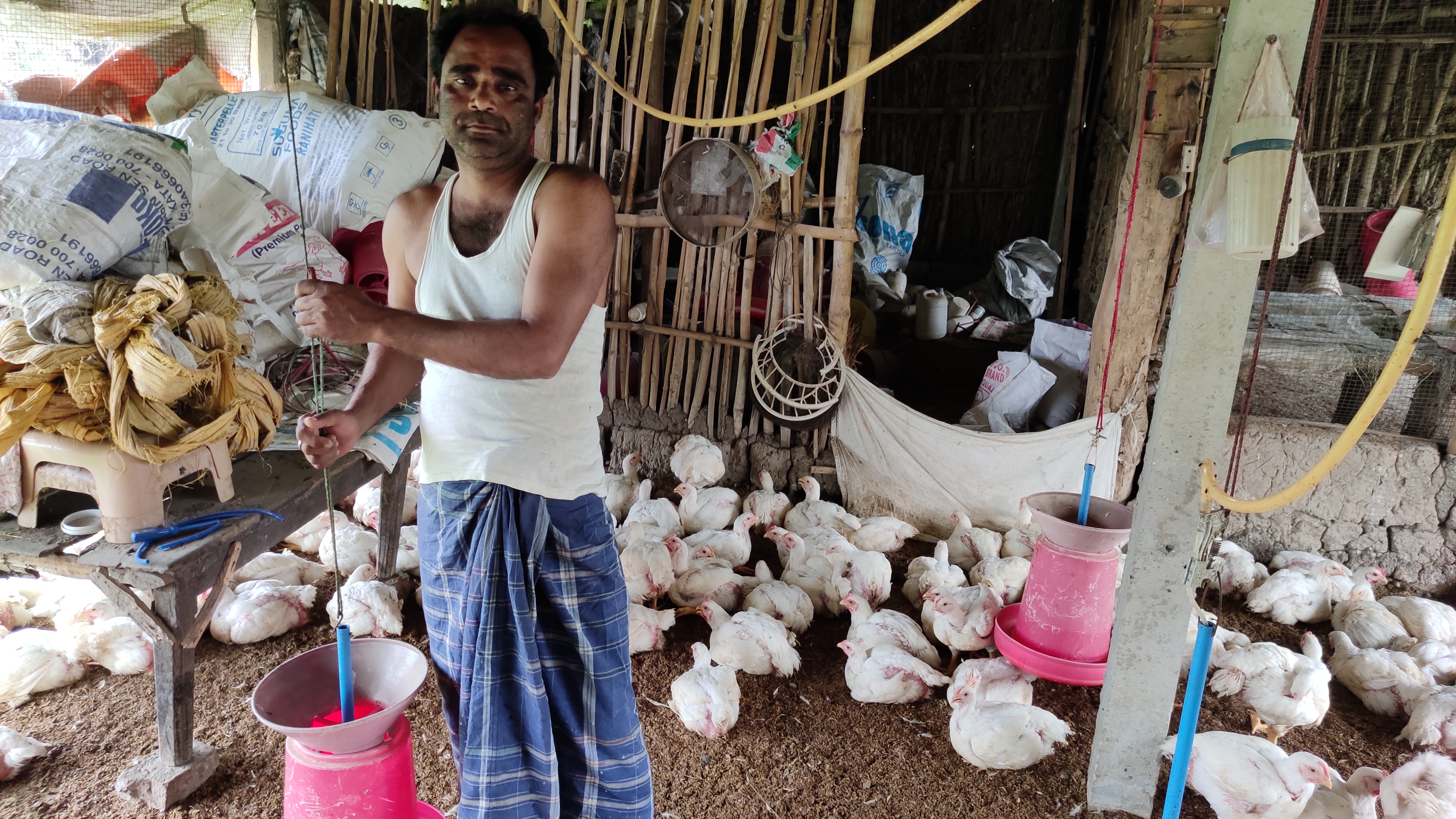 a man stands in the middle of a flock of white chickens