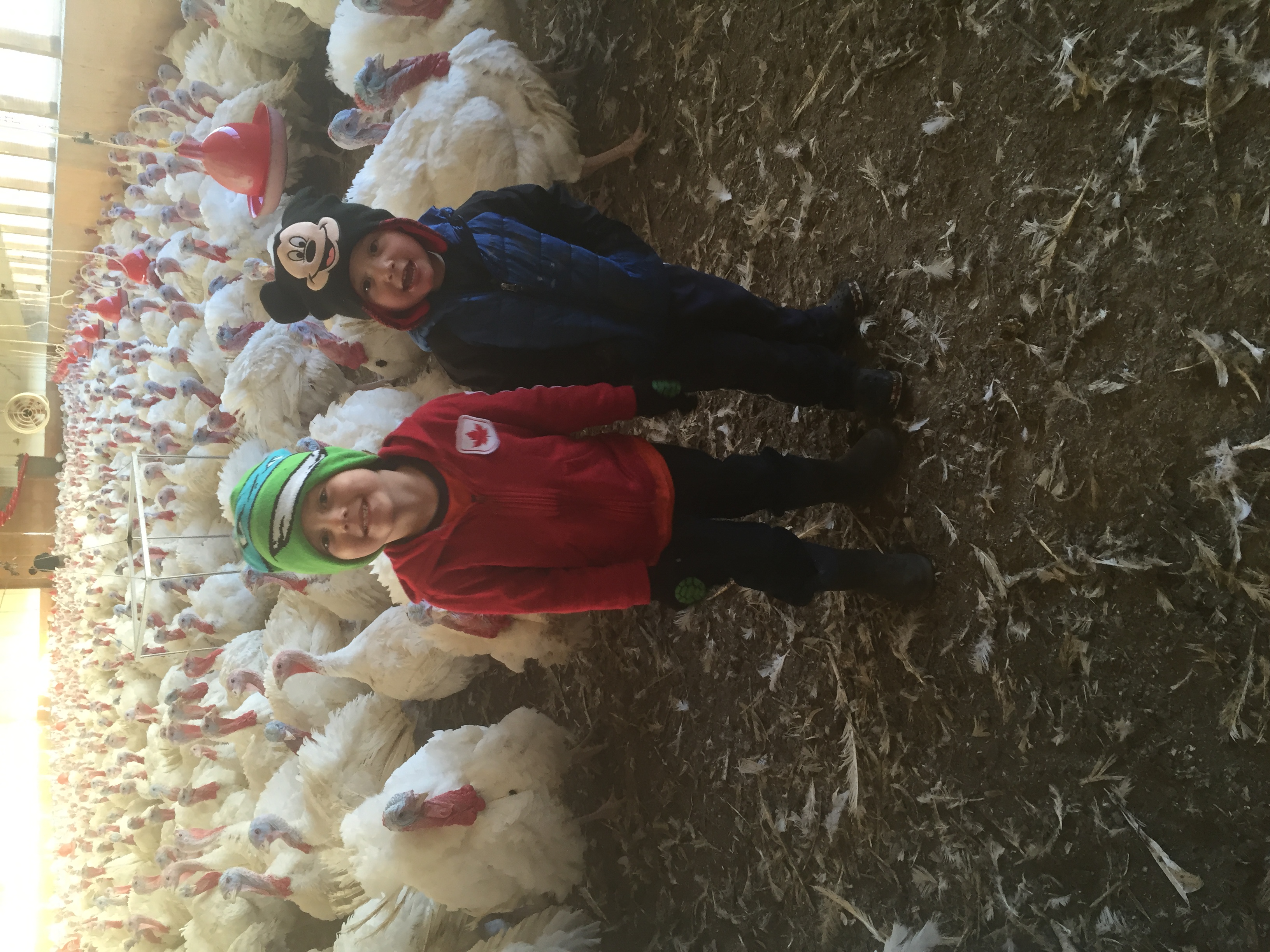 two young boys stand in the middle of a turkey flock