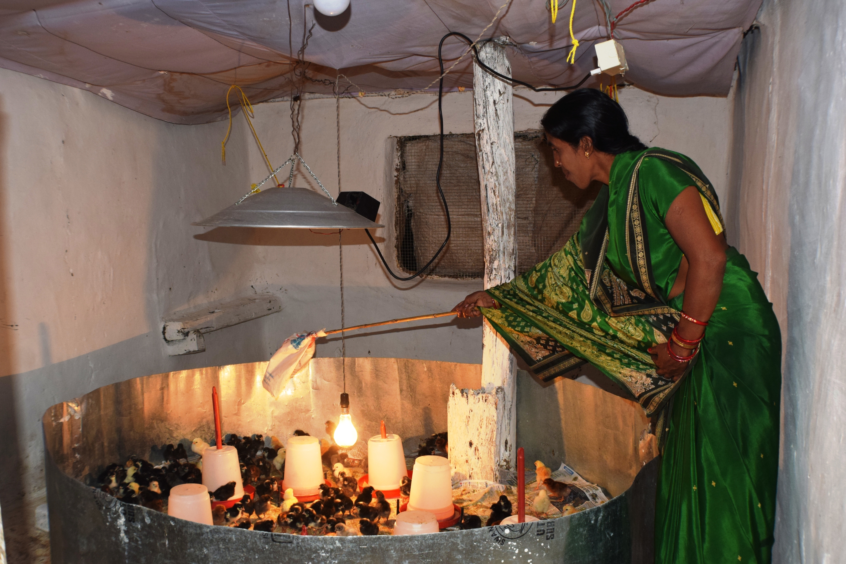 a woman in a green robe feeds chicks under a heat lamp