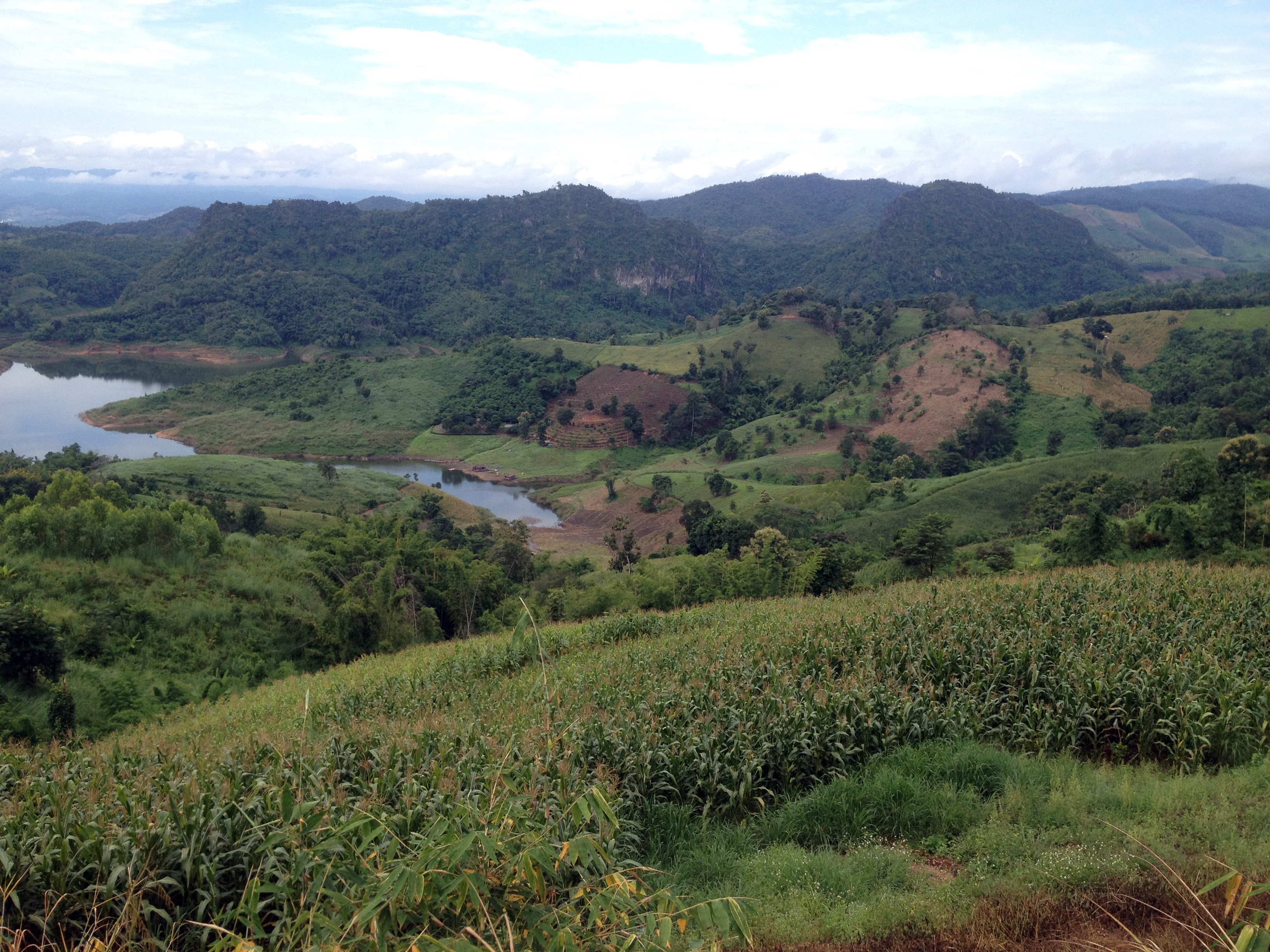 rolling forested hills