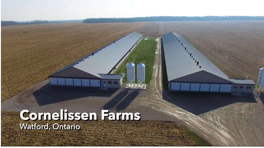 two large poultry barns