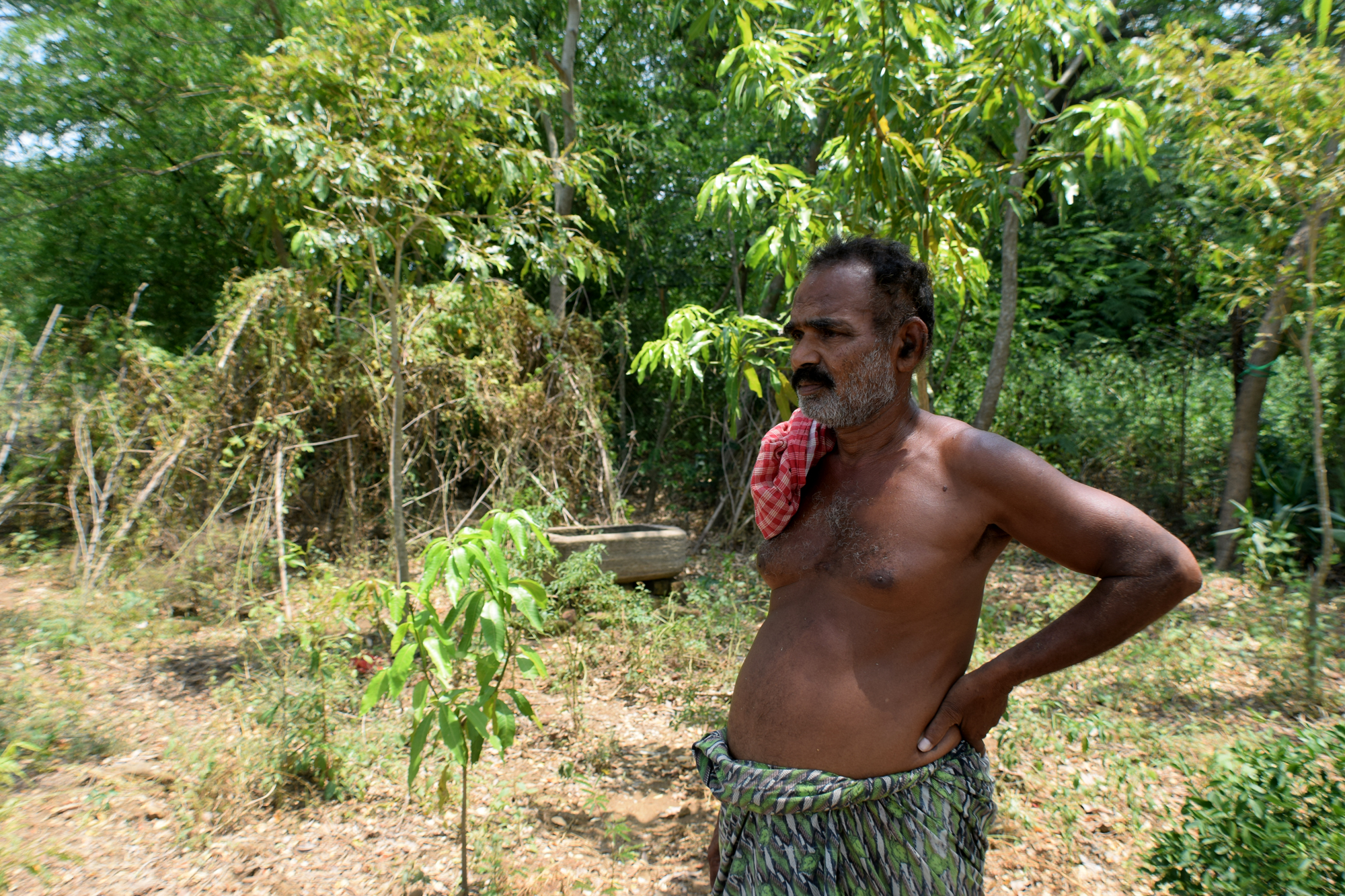 Indian man stands in a grassy area near his farm