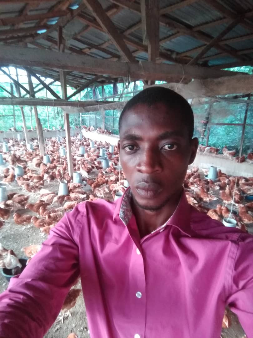 Emmanuel Akintola, CEO of Y2F Farms says that poultry waste can increase profits