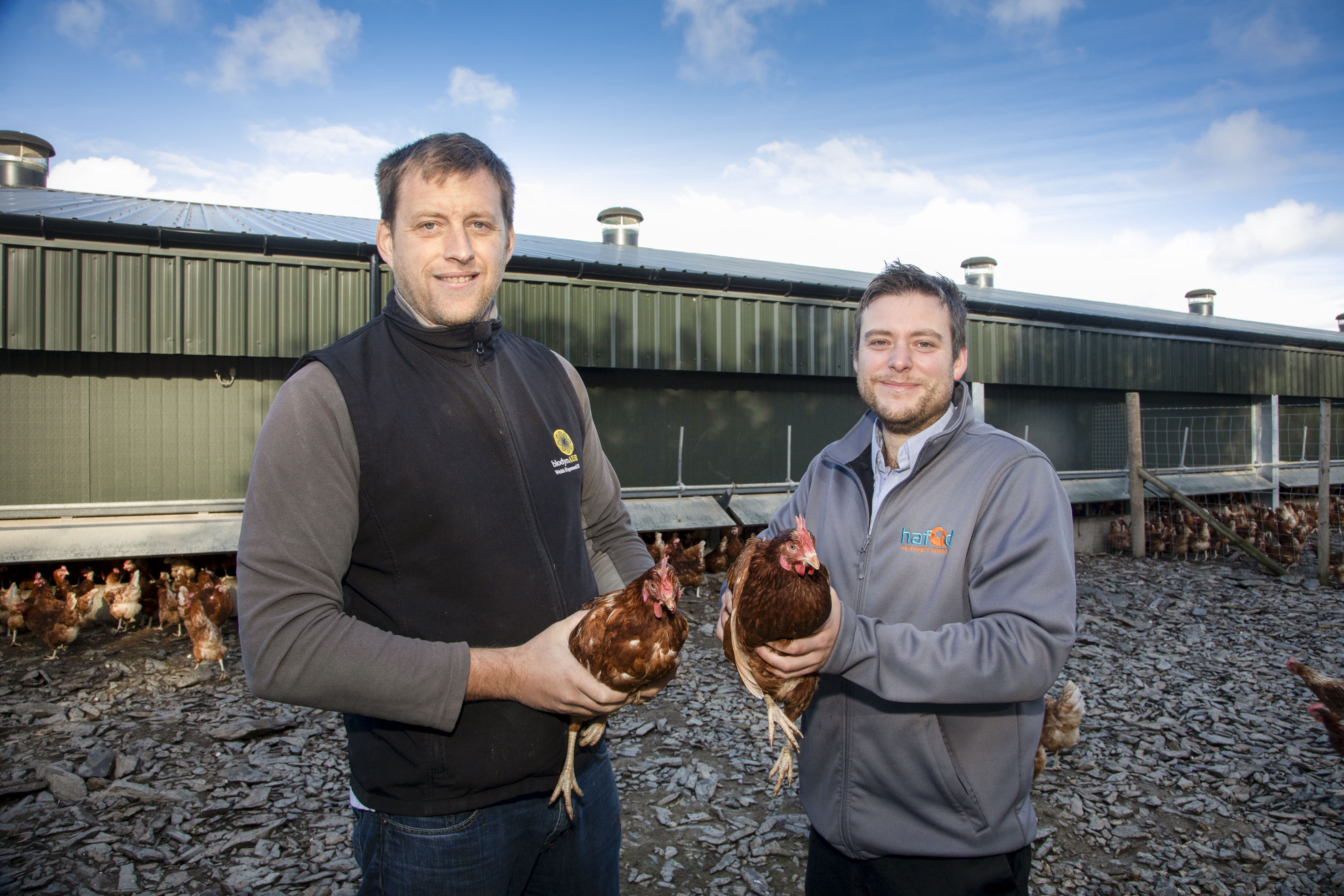 Llyr Jones and David Jones stand in front of the chicken shed, each holding a chicken