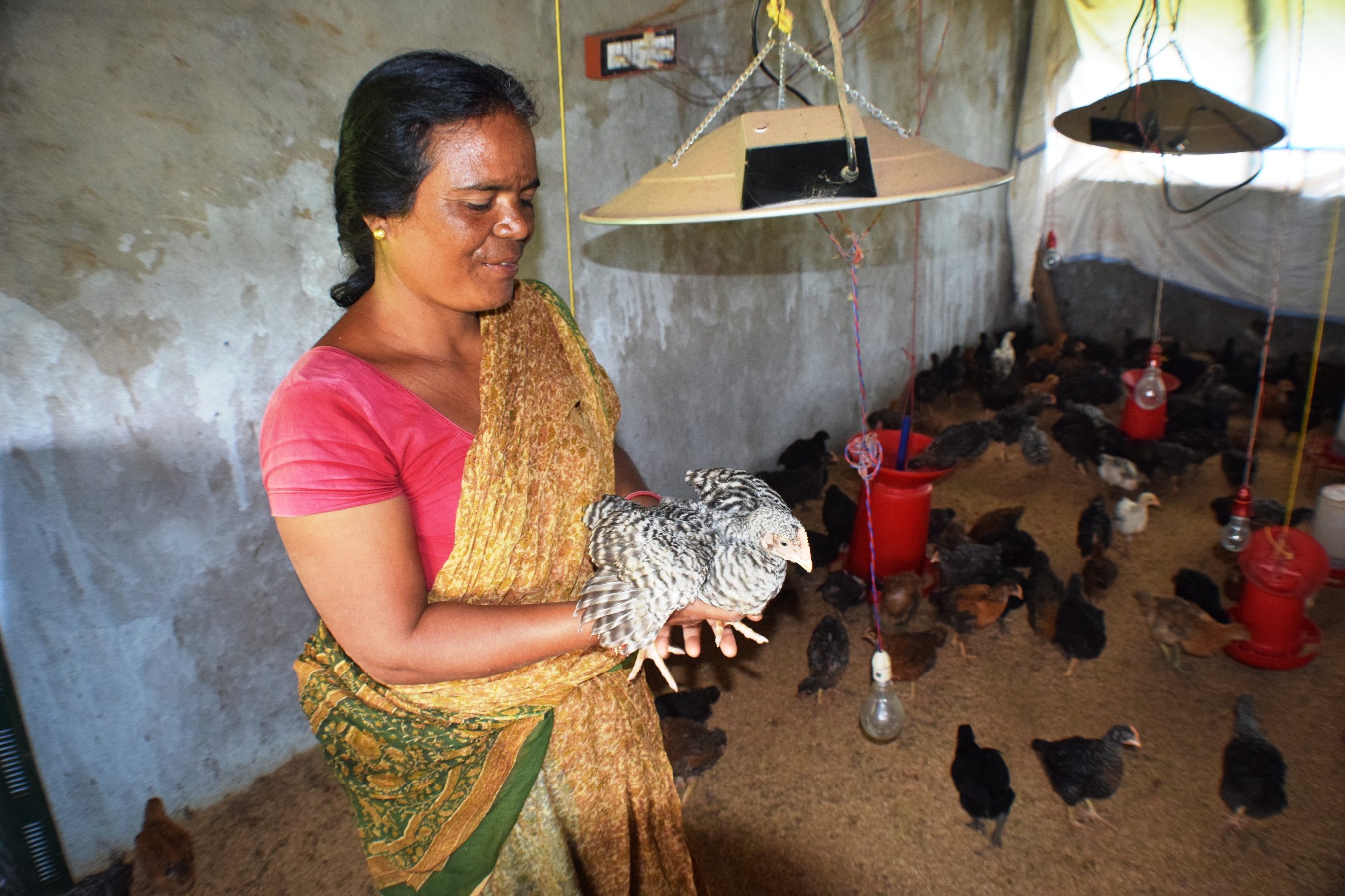 a woman holding a chick in a concrete building surrounded by other chicks