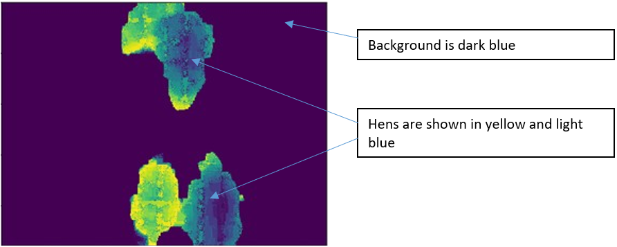 Figure 1. Filtered depth image showing hens (yellow and blue) and background (dark blue). The activity index is the sum of the pixels that change from background to hen pixel, or from hen to background pixel, divided by the total sum of pixels.