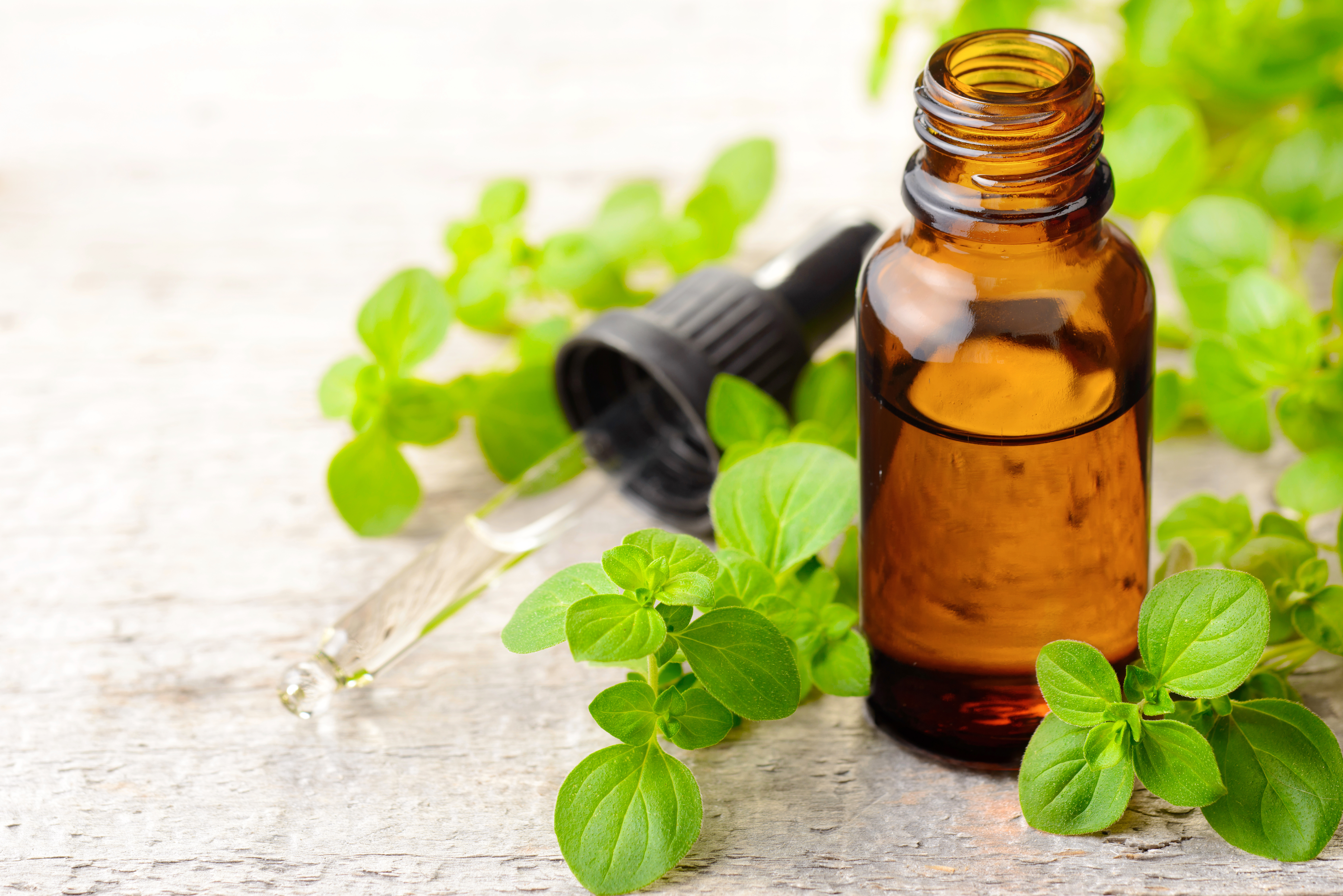 a small brown bottle of oil with oregano leaves around it