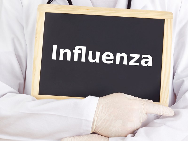 How bird flu differs from seasonal flu − an infectious disease researcher explains