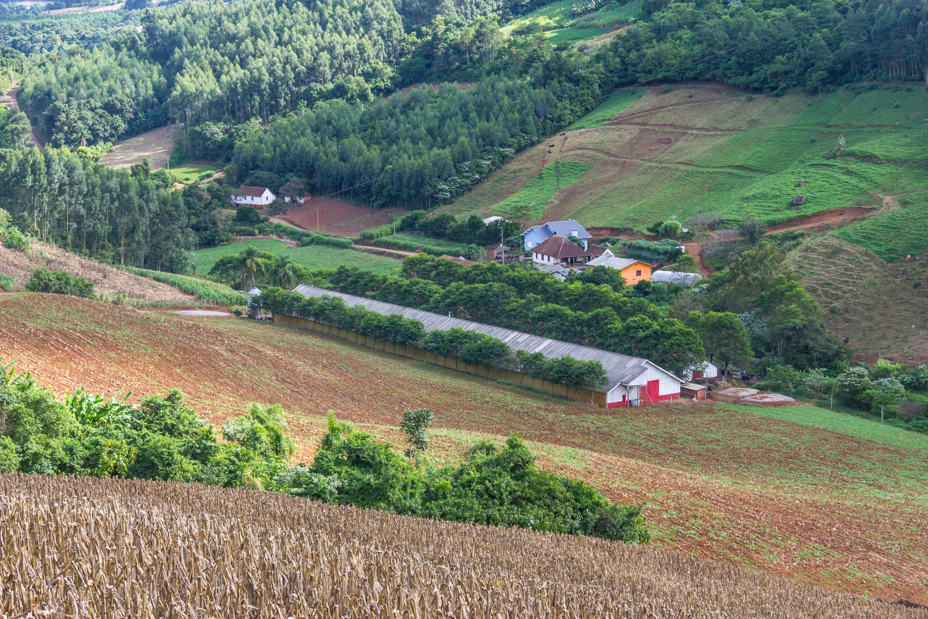 Poultry barn in the countryside