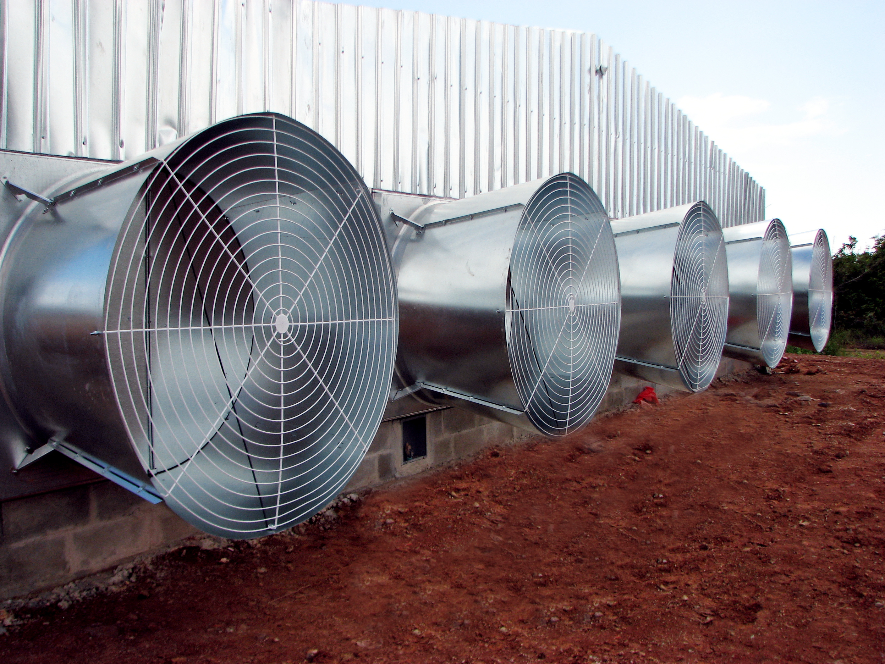Commercial poultry houses are designed to have good ventilation to prevent ammonia build up
