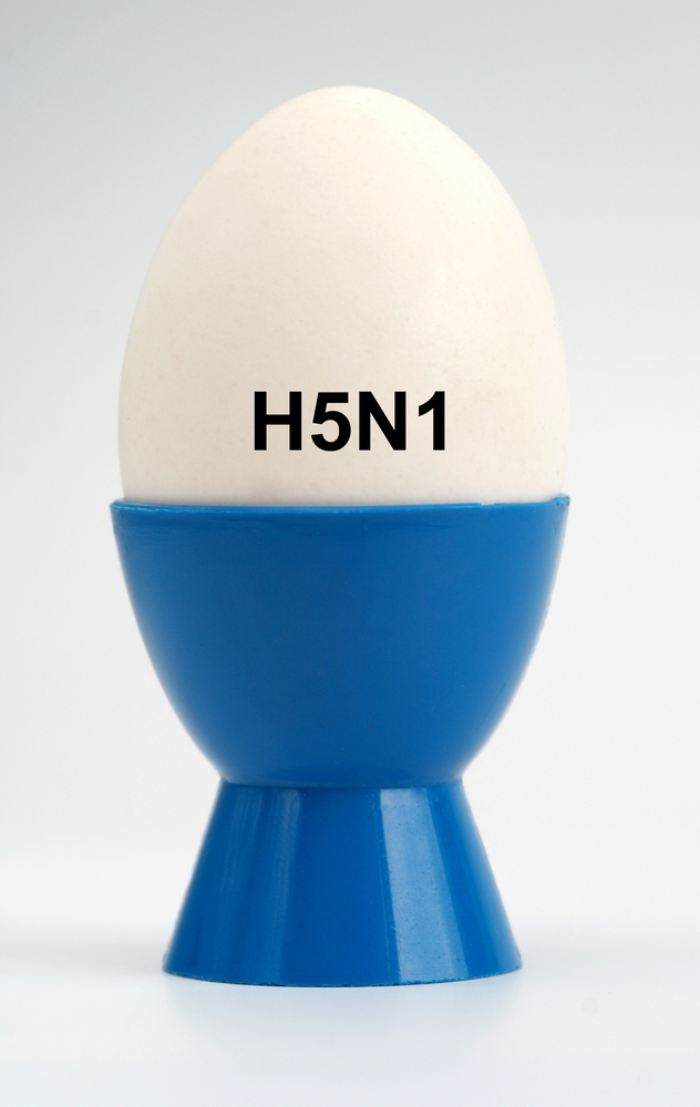 Cambodia experiences avian influenza outbreak close to Vietnam border