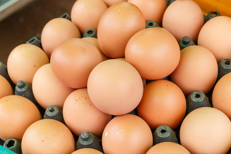 US egg value projection adjusted down in Q1 2024